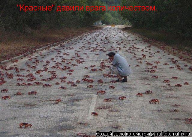 "Красные" давили врага количеством.... Котоматрица: "Красные" давили врага количеством.
