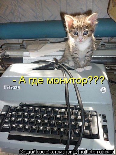 Котоматрица: - А где монитор???