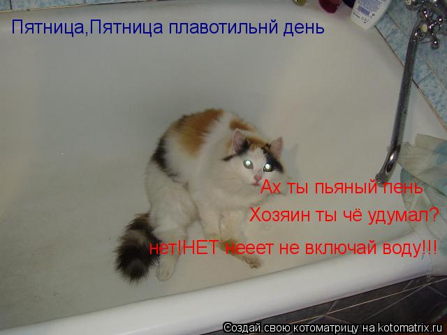 Пятница,Пятница плавотильнй день Хозяин ты чё удумал? Ах ты пьяный пень нет!НЕТ нееет не включай воду... Котоматрица: Пятница,Пятница плавотильнй день Хозяин ты чё удумал? Ах ты пьяный пень нет!НЕТ нееет не включай воду!!!