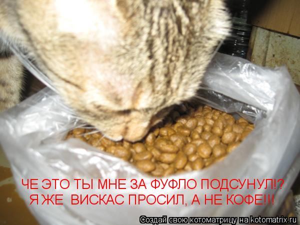 Котоматрица: ЧЕ ЭТО ТЫ МНЕ ЗА ФУФЛО ПОДСУНУЛ!? Я ЖЕ  ВИСКАС ПРОСИЛ, А НЕ КОФЕ!!!