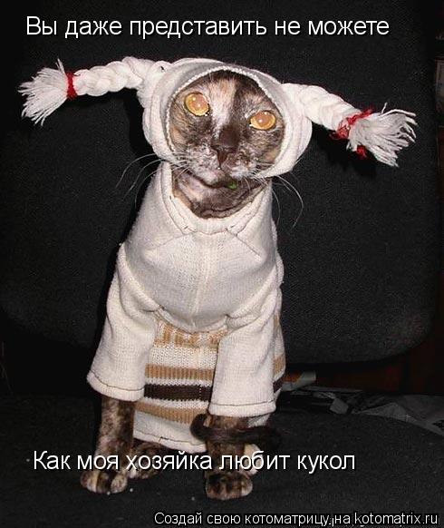 Котоматрица: Вы даже представить не можете Как моя хозяйка любит кукол