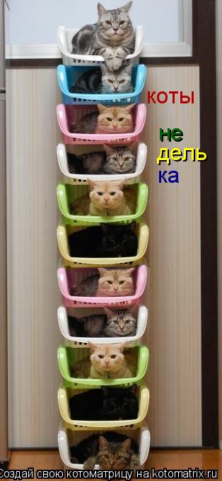 коты не дель ка... Котоматрица: коты не дель ка