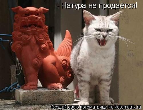 - Натура не продаётся!... Котоматрица: - Натура не продаётся!