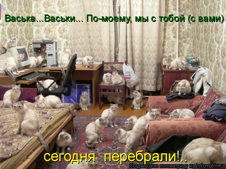 Васька...Васьки... По-моему, мы с тобой (с вами) сегодня перебрали!..... Котоматрица: Васька...Васьки... По-моему, мы с тобой (с вами) сегодня перебрали!..