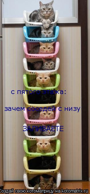 с пятого этажа: зачем соседей с низу ЗАЛИВАЕТЕ... Котоматрица: с пятого этажа: зачем соседей с низу ЗАЛИВАЕТЕ