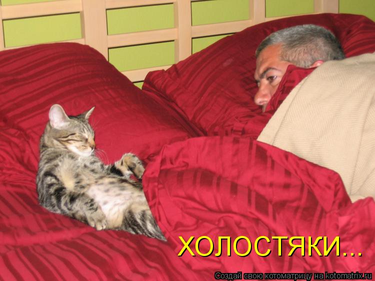 ХОЛОСТЯКИ...... Котоматрица: ХОЛОСТЯКИ...