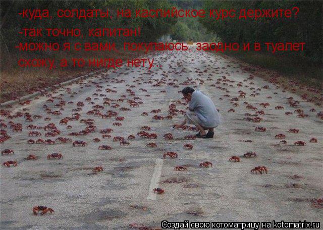 -куда, солдаты, на каспийское курс держите? -так точно, капитан! -можно я с вами, покупаюсь, заодно и... Котоматрица: -куда, солдаты, на каспийское курс держите? -так точно, капитан! -можно я с вами, покупаюсь, заодно и в туалет схожу, а то нигде нету...