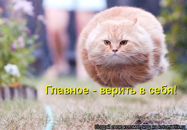 Главное - верить в себя!... Котоматрица: Главное - верить в себя!