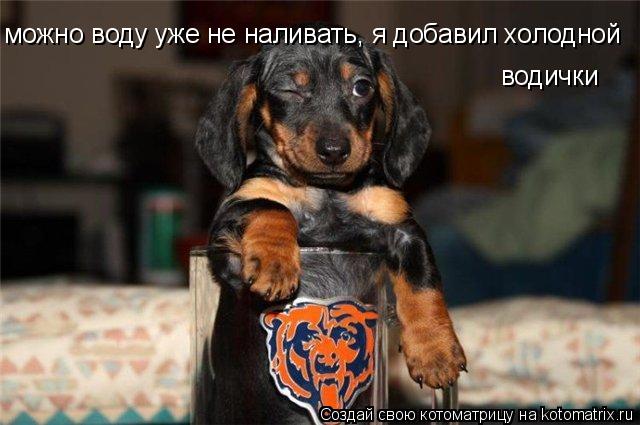 можно воду уже не наливать, я добавил холодной водички... Котоматрица: можно воду уже не наливать, я добавил холодной водички