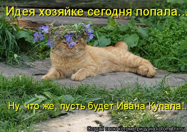 Идея хозяйке сегодня попала... Ну, что же, пусть будет Ивана Купала!..... Котоматрица: Идея хозяйке сегодня попала... Ну, что же, пусть будет Ивана Купала!..