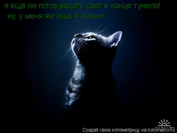 я ещё не готов видеть свет в конце тунеля! ну, у меня же ещё 4 жизни!... Котоматрица: я ещё не готов видеть свет в конце тунеля! ну, у меня же ещё 4 жизни!
