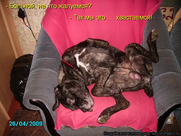 - Больной, на что жалуемся? - Так мы это .... хвастаемся!... Котоматрица: - Больной, на что жалуемся? - Так мы это .... хвастаемся!