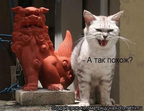 - А так похож?... Котоматрица: - А так похож?