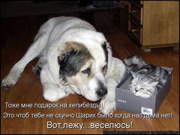 Тоже мне подарок на хепибёзды! Это чтоб тебе не скучно Шарик было когда нас дома нет! Вот,лежу...весе... Котоматрица: Тоже мне подарок на хепибёзды! Это чтоб тебе не скучно Шарик было когда нас дома нет! Вот,лежу...веселюсь!