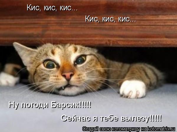 Кис, кис, кис... Кис, кис, кис... Ну погоди Барсик!!!!! Сейчас я тебе вылезу!!!!!... Котоматрица: Кис, кис, кис... Кис, кис, кис... Ну погоди Барсик!!!!! Сейчас я тебе вылезу!!!!!