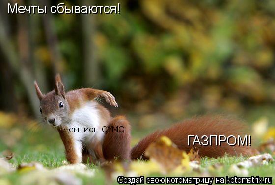 Мечты сбываются! Чемпион СУМО ГАЗПРОМ!... Котоматрица: Мечты сбываются! Чемпион СУМО ГАЗПРОМ!