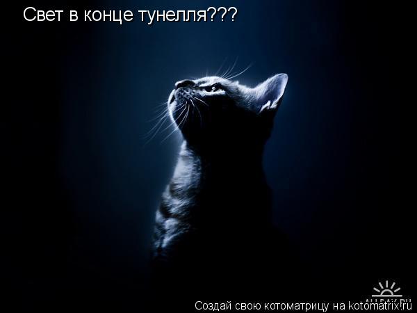 Свет в конце тунелля???... Котоматрица: Свет в конце тунелля???