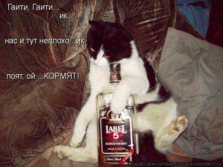 Гаити, Гаити... ик.. нас и тут неплохо...ик поят, ой....КОРМЯТ!... Котоматрица: Гаити, Гаити... ик.. нас и тут неплохо...ик поят, ой....КОРМЯТ!