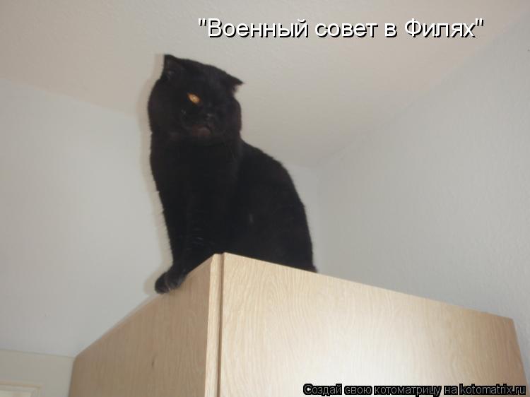 "Военный совет в Филях"... Котоматрица: "Военный совет в Филях"