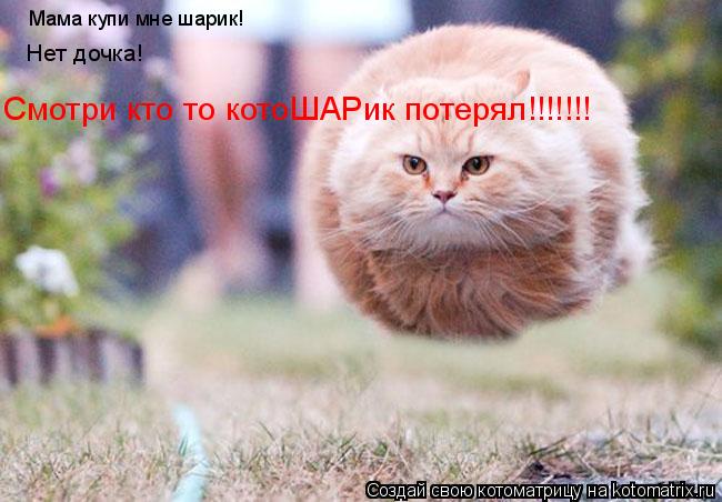 Мама купи мне шарик! Нет дочка! Смотри кто то котоШАРик потерял!!!!!!!... Котоматрица: Мама купи мне шарик! Нет дочка! Смотри кто то котоШАРик потерял!!!!!!!