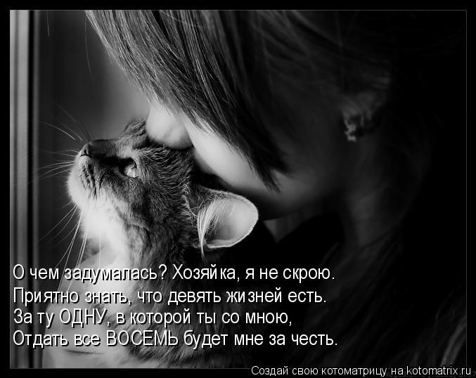 О чем задумалась? Хозяйка, я не скрою. Приятно знать, что девять жизней есть. За ту ОДНУ, в которой т... Котоматрица: О чем задумалась? Хозяйка, я не скрою. Приятно знать, что девять жизней есть. За ту ОДНУ, в которой ты со мною, Отдать все ВОСЕМЬ будет мне за ч