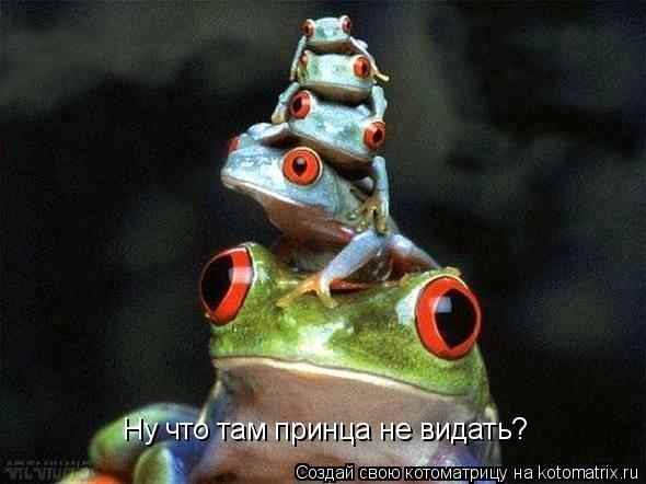 Ну что там принца не видать?... Котоматрица: Ну что там принца не видать?
