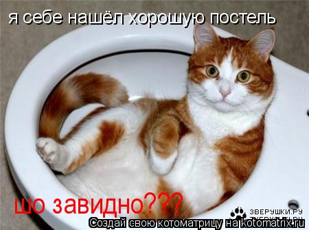 я себе нашёл хорошую постель шо завидно???... Котоматрица: я себе нашёл хорошую постель шо завидно???