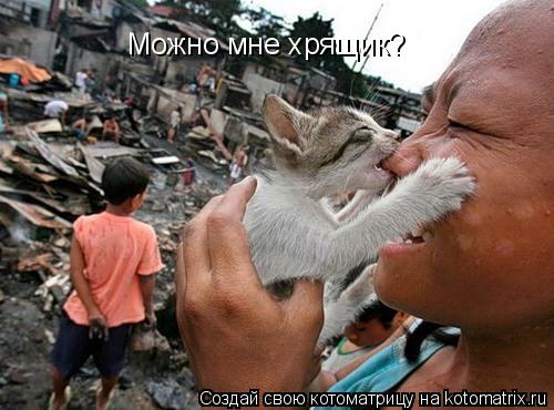 Можно мне хрящик?... Котоматрица: Можно мне хрящик?