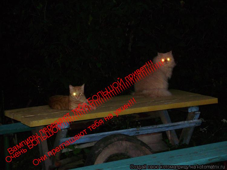 Вампиры передают тебе БОЛЬШОЙ привет!!! Очень БОЛЬШОЙ!!!!!!!!!!!!!!!!!!!!!!!!!!!!!!!!!!!!!!!!!!!!!!!!... Котоматрица: Вампиры передают тебе БОЛЬШОЙ привет!!! Очень БОЛЬШОЙ!!!!!!!!!!!!!!!!!!!!!!!!!!!!!!!!!!!!!!!!!!!!!!!!! Они преглашают тебя на ужин!!!