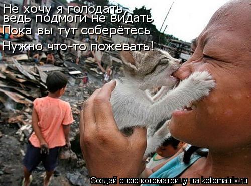 Не хочу я голодать, Пока вы тут соберётесь Нужно что-то пожевать! ведь подмоги не видать... Котоматрица: Не хочу я голодать, Пока вы тут соберётесь Нужно что-то пожевать! ведь подмоги не видать