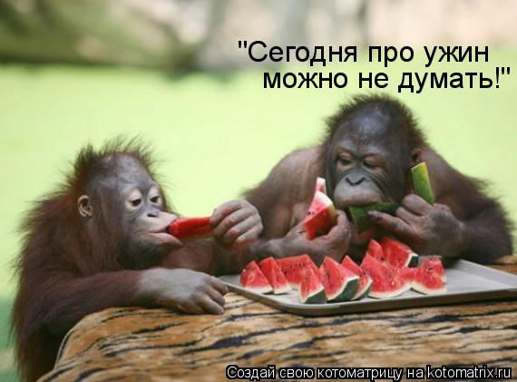 "Сегодня про ужин можно не думать!"... Котоматрица: "Сегодня про ужин можно не думать!"