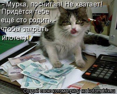 - Мурка, посчитал! Не хватает! Придётся тебе ещё сто родить - чтобы закрыть ипотеку!... Котоматрица: - Мурка, посчитал! Не хватает! Придётся тебе ещё сто родить - чтобы закрыть ипотеку!