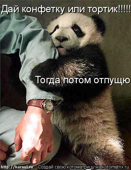 Дай конфетку или тортик!!!!! Тогда потом отпущю... Котоматрица: Дай конфетку или тортик!!!!! Тогда потом отпущю