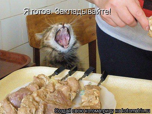 Я готов. Закладывайте!... Котоматрица: Я готов. Закладывайте!