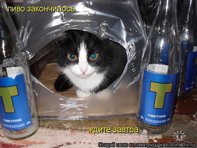 пиво закончилось ждите завтра... Котоматрица: пиво закончилось ждите завтра