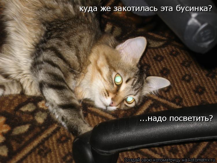 Котоматрица: куда же закотилась эта бусинка?                                                                           ...надо посветить?