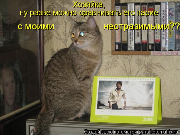 Котоматрица: Хозяйка, ну разве можно сравнивать его карие с моими неотразимыми??