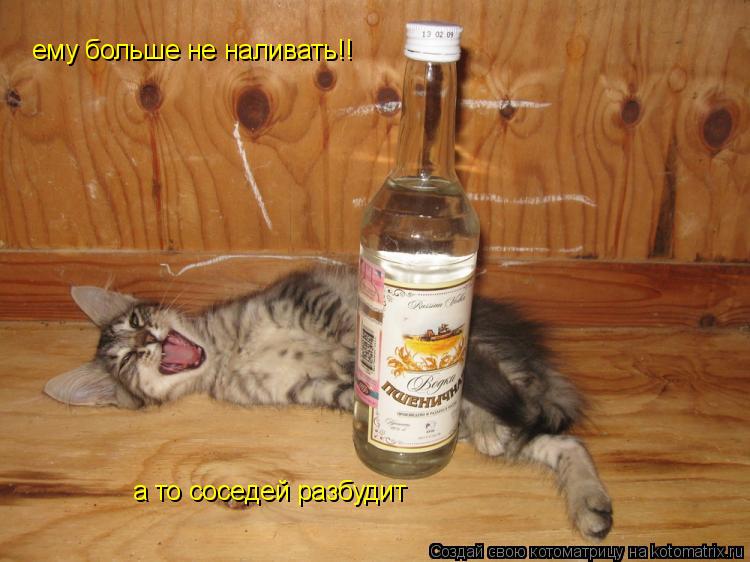 Котоматрица: ему больше не наливать!! а то соседей разбудит