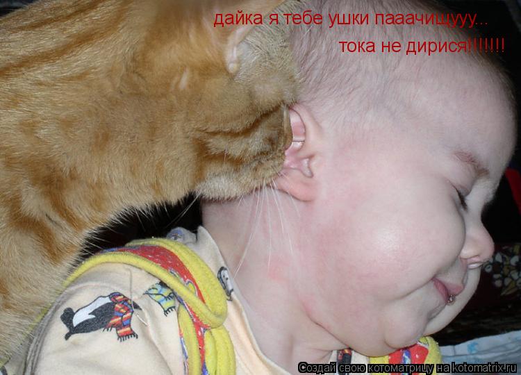Котоматрица: дайка я тебе ушки пааачищууу... тока не дирися!!!!!!!