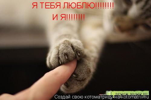 Котоматрица: Я ТЕБЯ ЛЮБЛЮ!!!!!!!! И Я!!!!!!!! Я ТЕБЯ ЛЮБЛЮ!!!!!!!!