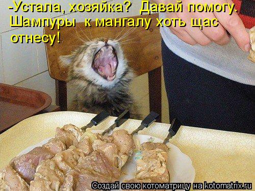-Устала, хозяйка? Давай помогу. Шампуры к мангалу хоть щас отнесу!... Котоматрица: -Устала, хозяйка? Давай помогу. Шампуры к мангалу хоть щас отнесу!