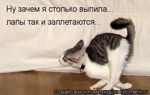 Котоматрица: Ну зачем я столько выпила...  лапы так и заплетаются...