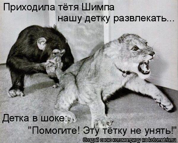 Котоматрица: Приходила тётя Шимпа  нашу детку развлекать... Детка в шоке: "Помогите! Эту тётку не унять!"