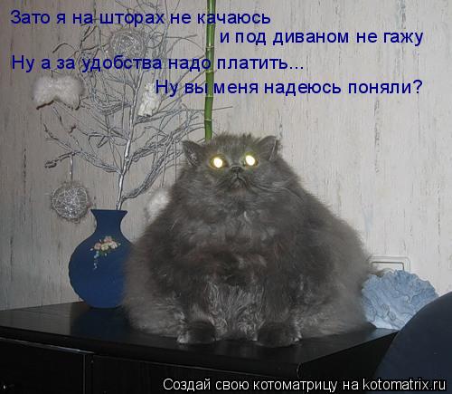 Зато я на шторах не качаюсь и под диваном не гажу Ну а за удобства надо платить... Ну вы меня надеюсь... Котоматрица: Зато я на шторах не качаюсь и под диваном не гажу Ну а за удобства надо платить... Ну вы меня надеюсь поняли?