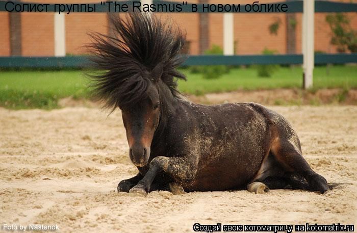 Солист группы "The Rasmus" в новом облике... Котоматрица: Солист группы "The Rasmus" в новом облике
