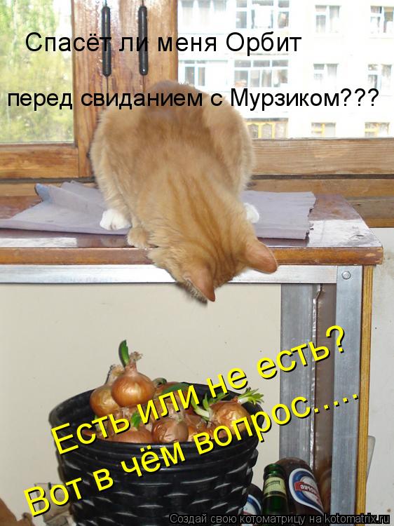 Вот в чём вопрос..... Есть или не есть? Спасёт ли меня Орбит перед свиданием с Мурзиком???... Котоматрица: Вот в чём вопрос..... Есть или не есть? Спасёт ли меня Орбит перед свиданием с Мурзиком???