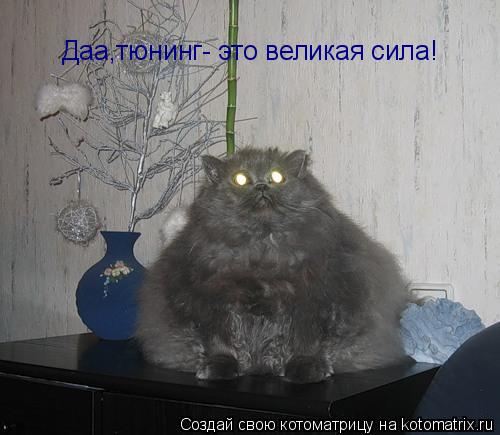 Даа,тюнинг- это великая сила!... Котоматрица: Даа,тюнинг- это великая сила!