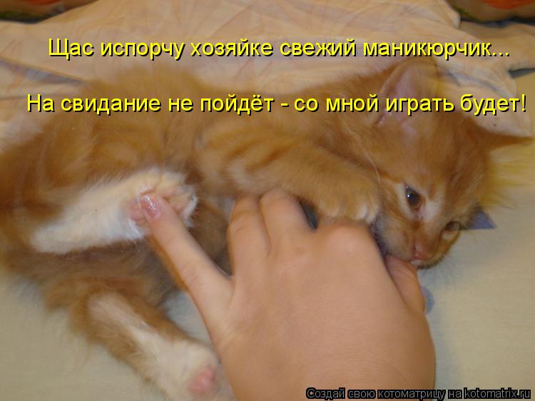 Щас испорчу хозяйке свежий маникюрчик... На свидание не пойдёт - со мной играть будет!... Котоматрица: Щас испорчу хозяйке свежий маникюрчик... На свидание не пойдёт - со мной играть будет!