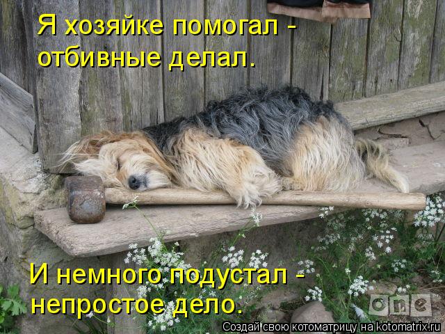 Я хозяйке помогал - отбивные делал. И немного подустал - непростое дело.... Котоматрица: Я хозяйке помогал - отбивные делал. И немного подустал - непростое дело.