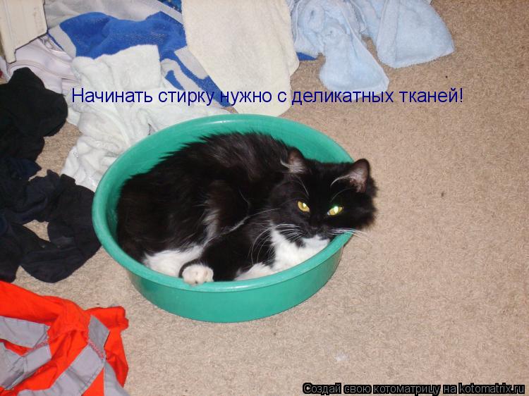 Начинать стирку нужно с деликатных тканей!... Котоматрица: Начинать стирку нужно с деликатных тканей!